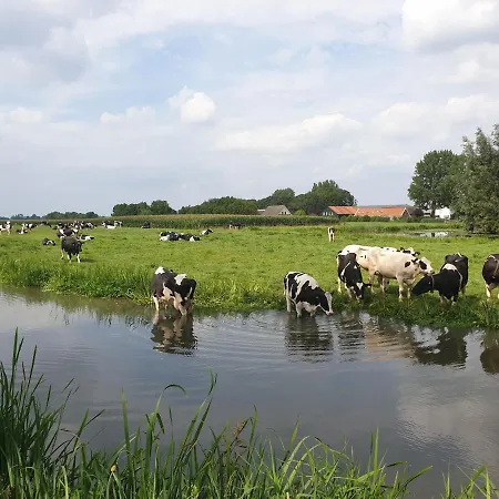 Nieuw Minerva Lejda