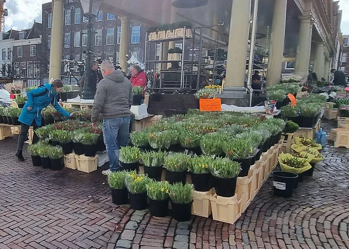 Nieuw Minerva Hotel Leiden