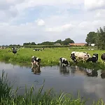 Nieuw Minerva Leyde